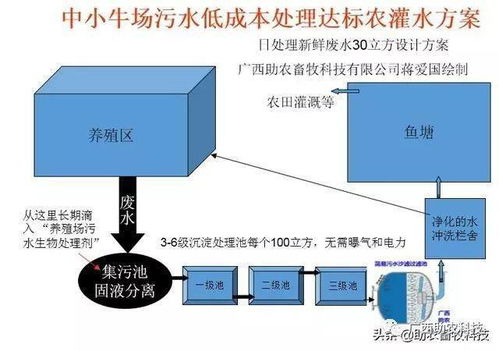 用微生物解决牛场环保问题,牛粪快速发酵成有机肥新技术,比自然发酵快5 10倍成本还更低