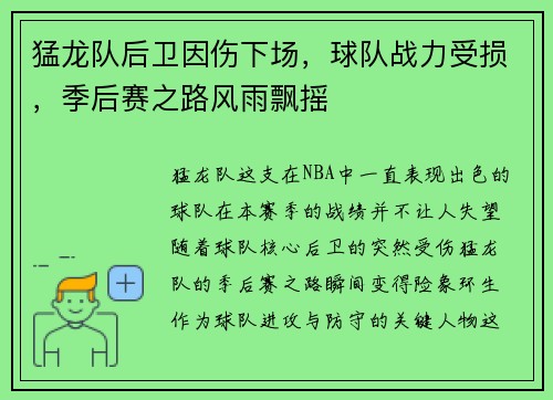 猛龙队后卫因伤下场，球队战力受损，季后赛之路风雨飘摇